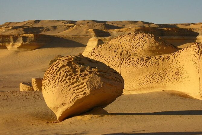 Allinclusive Private Tour Fayoum Oasis & Valley of Wales - Sandboarding and Lunch at a View: Fun, Food, and a Controlled Crash Course