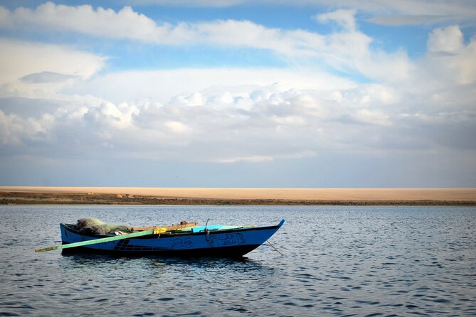 Allinclusive Private Tour Fayoum Oasis & Valley of Wales - Fayoum Oasis Focus: Birket Qarun, Mudawara Mountain, and the Water System