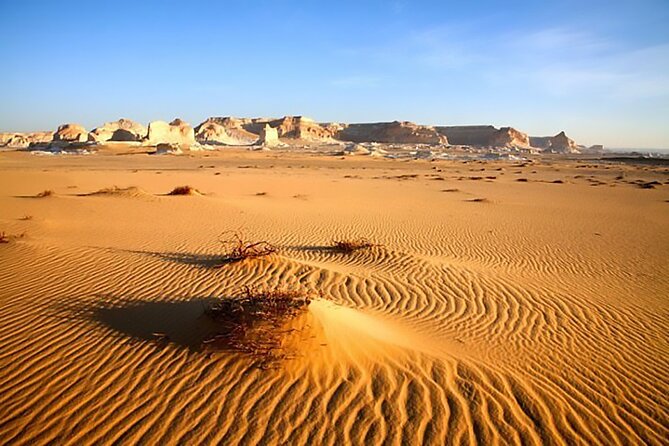 Allinclusive Private Tour Fayoum Oasis & Valley of Wales - Price and Value: What $88 Really Buys