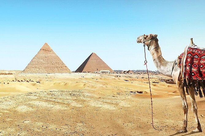 Allinclusive Private tour Giza Pyramids Sphinx Sakkara& Memphis - Saqqara Complex: Step Pyramid, Imhotep, and tomb details that stick