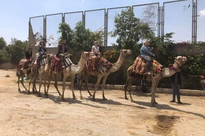 Arabian Nights immersion Pyramids Horse,camel Ride,Bedouin Tea - Great Pyramid of Giza: entry included, but manage your expectations