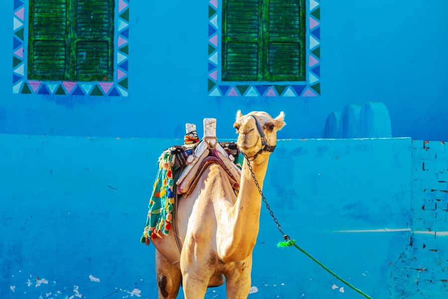 Aswan: Nubian Village Day Trip with Camel Ride - Nubian Village streets: houses you can read like a postcard