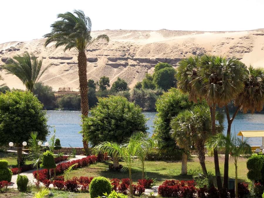 Aswan: Private All-inclusive Guided Tour of Aswan Highlights - Private Transportation, Guide Impact, and the Real Value of $105
