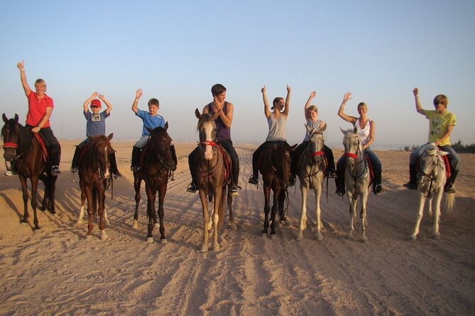 ATV horse stargazing - Key Points You Should Know Before You Go