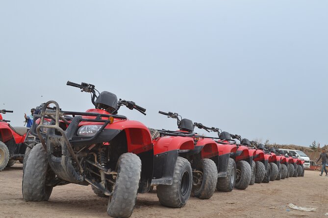 ATV Quad Bike Safari & Camel Ride With Transfer - Hurghada - The Bedouin village stop: tea, traditions, and a camel encounter