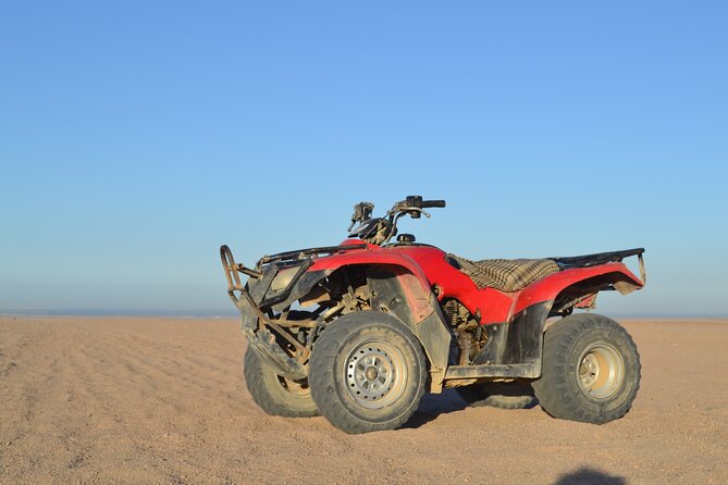 ATV Quad Bike Safari & Camel Ride With Transfer - Hurghada - What about the quad quality and comfort?