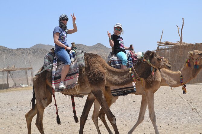 ATV Quad Bike Safari & Camel Ride With Transfer - Hurghada - Group size and how that affects the experience