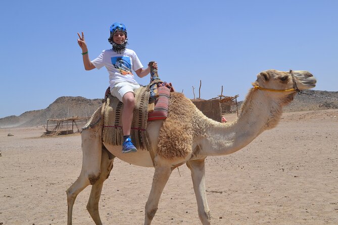 ATV Quad Bike Safari & Camel Ride With Transfer - Hurghada - Hitting the dunes: what the quad safari feels like