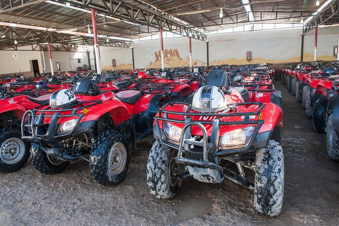 ATV Quad Safari Tour & Camel Ride Dinner and Show - Hurghada - Camel ride and Bedouin village: the softer cultural pause