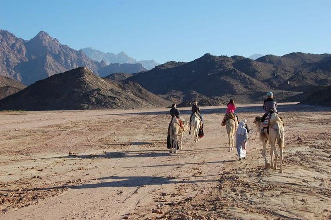 Bedouin BBQ in the Egyptian Desert by 4x4 - Meeting Bedouin hosts after that hill walk (and what you’ll do first)