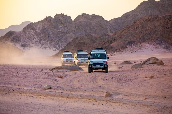 Bedouin Village Jeep Safari with Dinner & Camel Ride In Hurghada - Hurghada Pickup at 12:00 pm: How the Day Flows