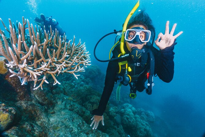 Beginners Scuba Diving, 2 Stops, Full Day Trip & Lunch - Hurghada - Key points worth knowing before you go