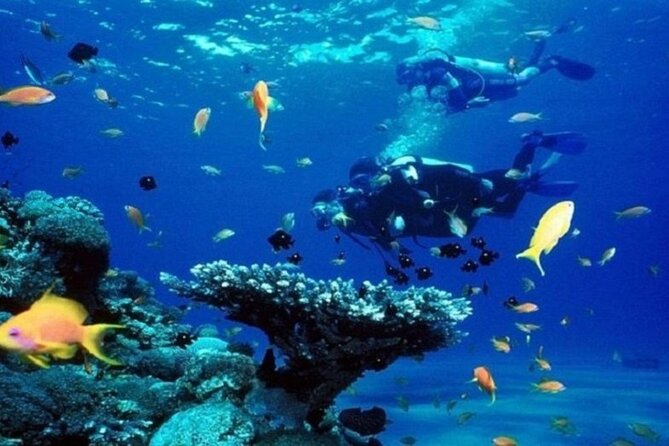 Beginners Scuba Diving, 2 Stops, Full Day Trip & Lunch - Hurghada - Instructors and small-group care that makes a difference