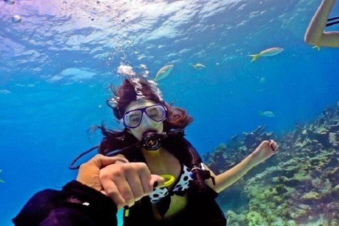 Beginners Scuba Diving, 2 Stops, Full Day Trip & Lunch - Hurghada - Equipment and comfort: what’s included, what you should bring