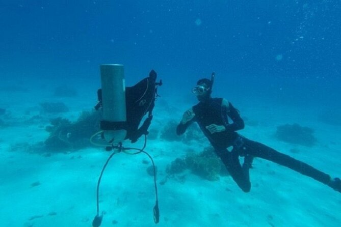 Beginners Scuba Diving, 2 Stops, Full Day Trip & Lunch - Hurghada - Underwater reality check: what you’ll see and how long you’ll see it