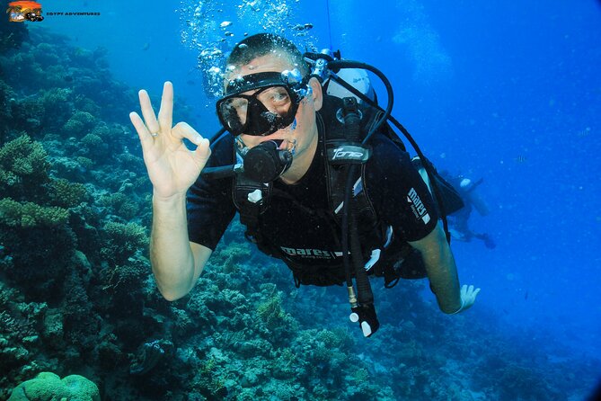 Beginners Scuba Diving Boat Trip With Equipment & lunch -Hurghada - Why This Hurghada Scuba Boat Day Works So Well