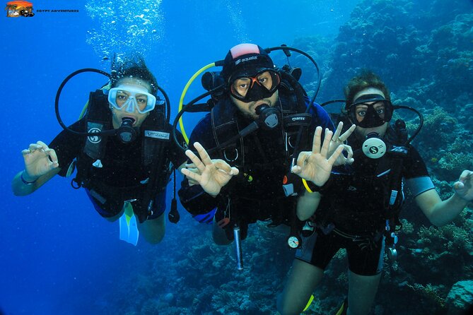 Beginners Scuba Diving Boat Trip With Equipment & lunch -Hurghada - Hotel Pickup in an Air-Conditioned Vehicle (How It Saves Your Whole Day)