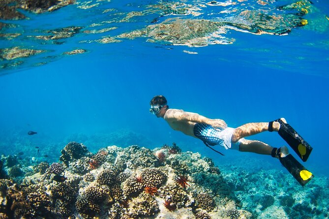 Beginners Scuba Diving Boat Trip With Equipment & lunch -Hurghada - The Instructor + Safety Briefing: Where First-Timers Feel It the Most