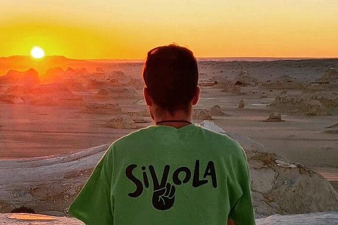 Black and White Desert and Bahariya Oasis Tour 2 Days 1 Night - Meals, water, and the “long day” factor that makes or breaks it