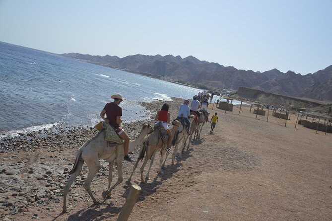 Blue Hole and Dahab City from Sharm El Sheikh - Dahab Canyon: A Desert Stop That Feels Made for Photos