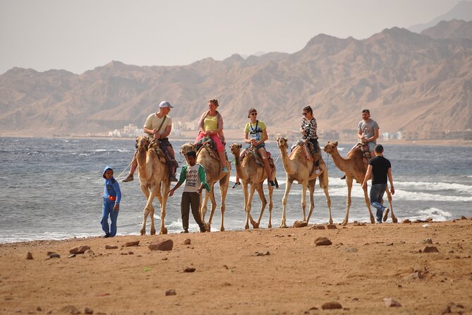 Blue Hole and Dahab City from Sharm El Sheikh - Who This Trip Suits Best (and Who Might Want Another Option)