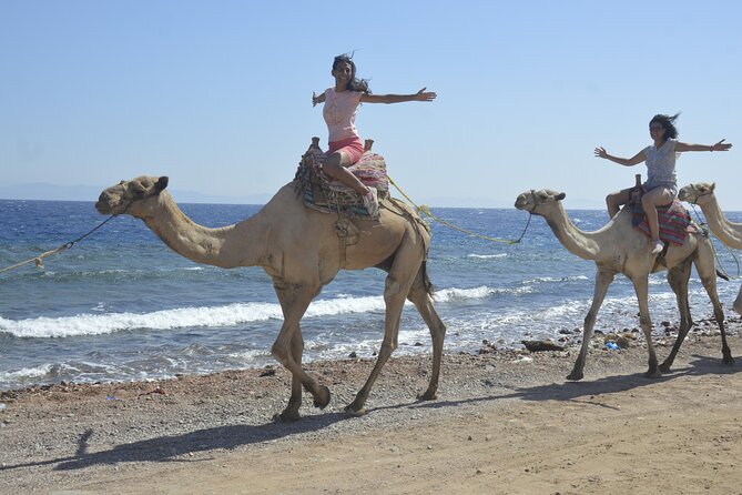 Blue Hole and Dahab City from Sharm El Sheikh - The Morning Pickup: Sharm to Dahab Without the Hassle
