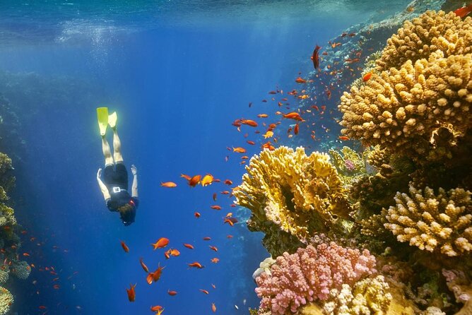 Blue Hole Snorkeling Tour with lunch from Dahab - Key Things I’d Focus On