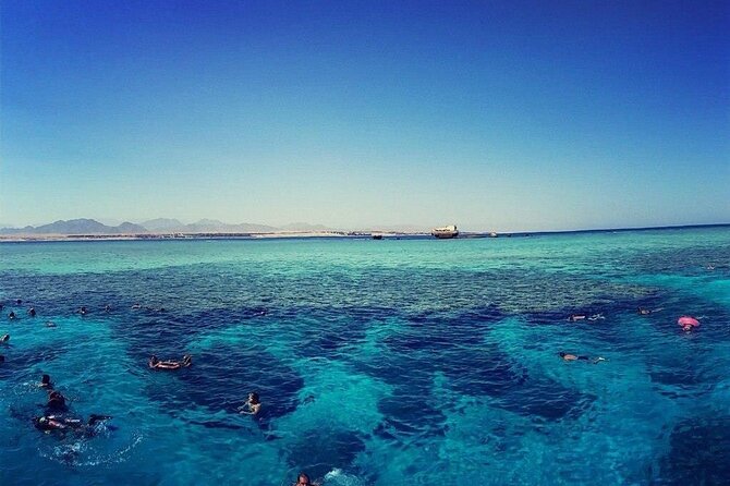 Boat Trip to Ras Mohamed & White island Red Sea & Snorkeling in Sharm elsheikh - Tiran Island’s animal cast: turtles, dolphins, rays, and more