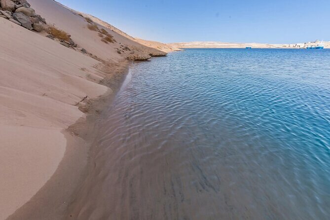 Bus Tour to Ras Mohamed from Sharm El Sheikh - Mangroves in cold water: the odd, useful detail that makes the park feel real