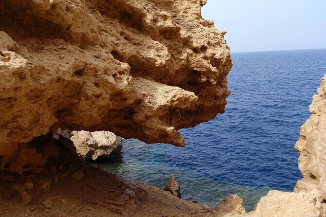 Bus Tour to Ras Mohamed from Sharm El Sheikh - Snorkeling in two gulfs: what variety looks like in real time
