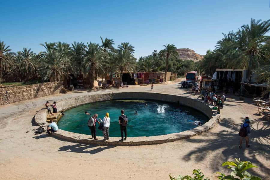 Cairo: 3-Day Siwa Oasis Tour, Safari, Camp & Historical Site - Key Highlights You’ll Actually Feel