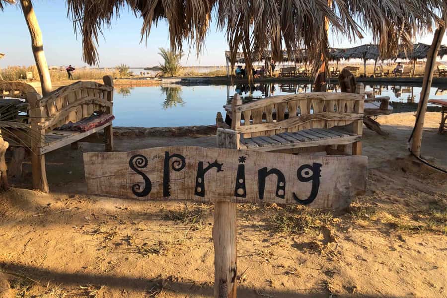 Cairo: 3-Day Siwa Oasis Tour, Safari, Camp & Historical Site - Day 2: Mountain of the Dead Tombs, Oracle Temple, and Cleopatra’s Spring