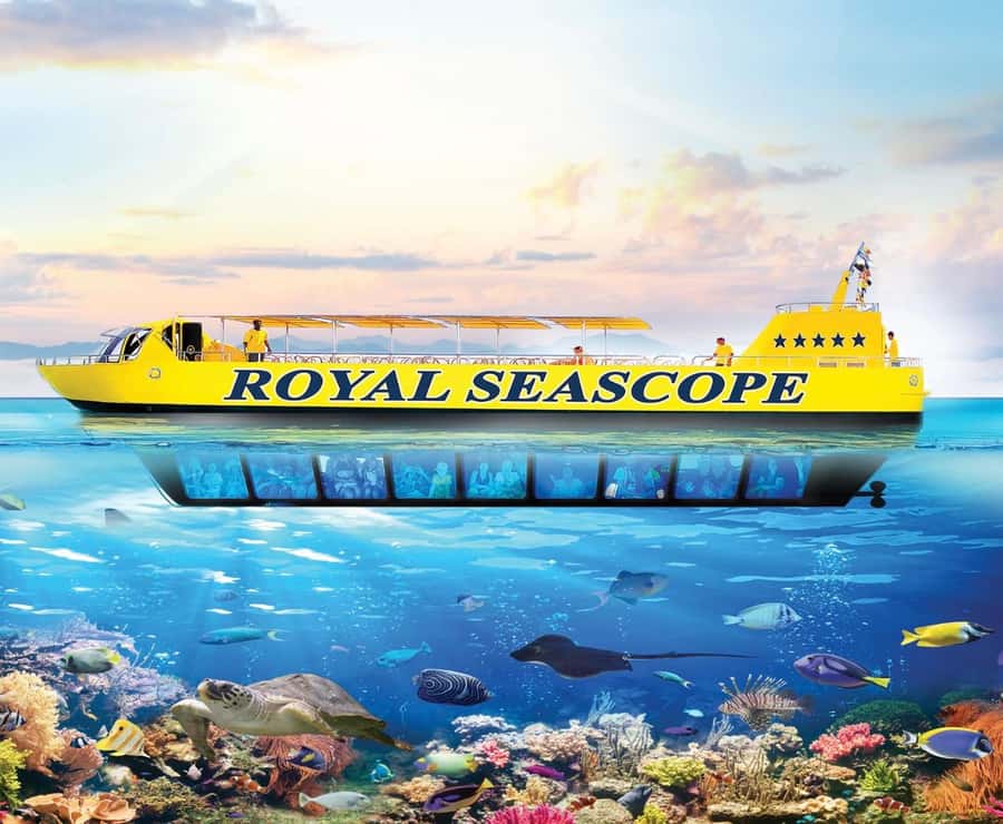 Cairo: Ain Sokhna Semi-Submarine with optional Transfer - Key things to know before you go