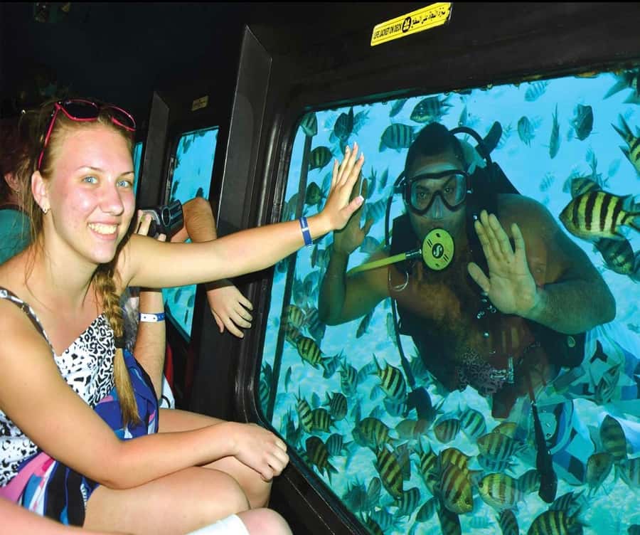 Cairo: Ain Sokhna Semi-Submarine with optional Transfer - Who this semi-submarine tour is best for