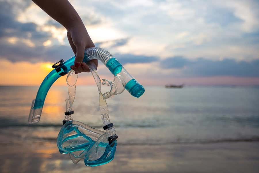 Cairo: Ain Sokhna Snorkeling cruise & optional transfer - Two snorkeling stops in one top area: where the marine life shows up