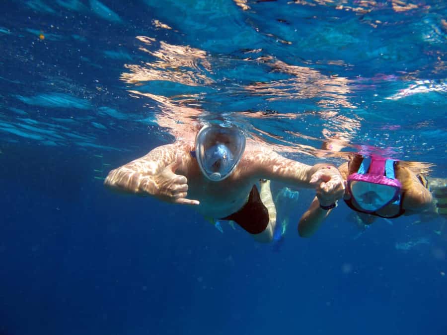 Cairo: Ain Sokhna Snorkeling cruise & optional transfer - Dome Marina meet-up: finding the right boat fast