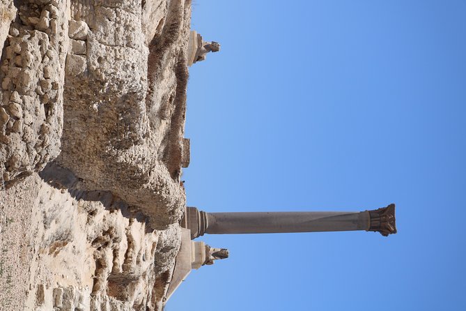 Cairo: Alexandria Over Day Tour From Cairo - Full day Tour - Price and Value: What $85.72 Gets You (and What It Doesn’t)