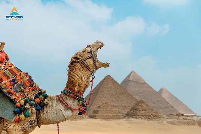 Cairo and Nile Cruise Tour - Key highlights worth getting excited about