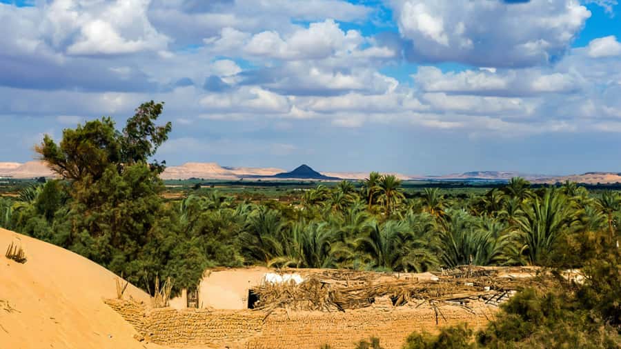 Cairo: Bahariya Oasis & White Desert 3-Day Private Adventure - Day 2 note: sandboarding and timing