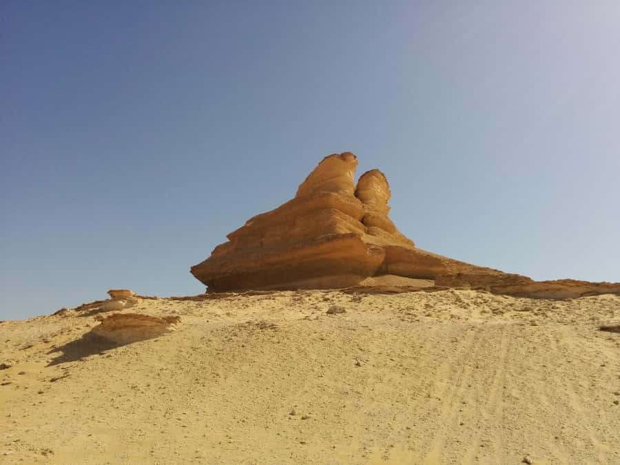 Cairo: Bahariya Oasis & White Desert A Private Day Adventure - What You Should Bring (and What to Leave at Home)