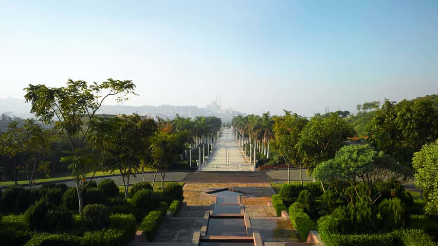 Cairo: Cairo by Night Tour and Dinner at EL Azhar Park - Should you book Cairo by Night with dinner at El Azhar Park?
