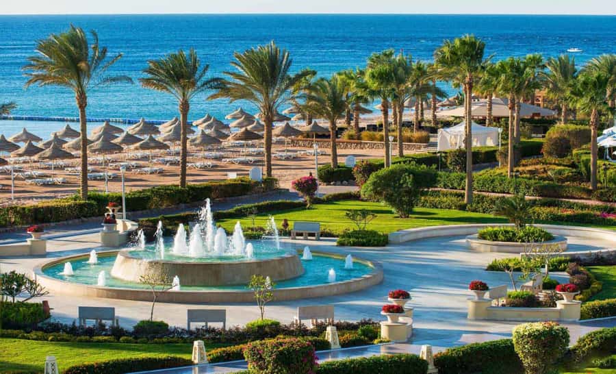 Cairo: Day Tour to the Red Sea with Lunch - Lunch included: how it fits into your day