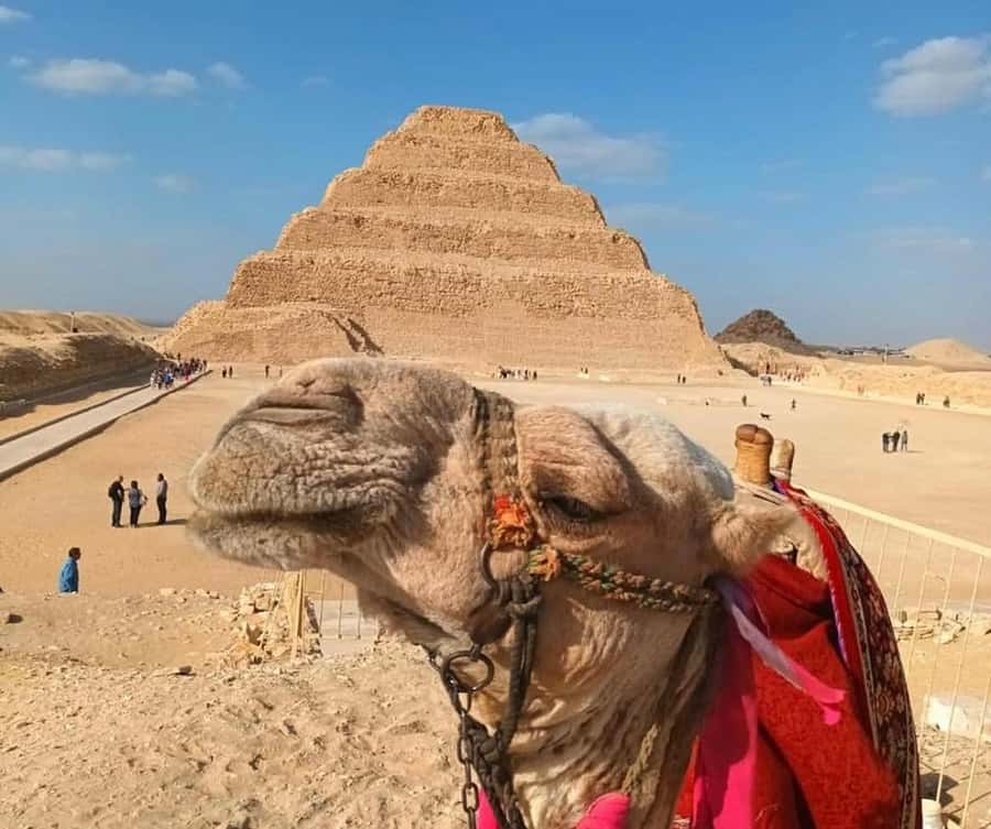 Cairo: Djoser, Bent Pyramid & Memphis Day Trip - Key highlights worth planning around