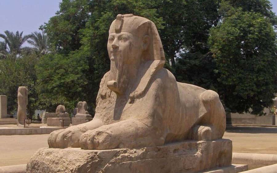 Cairo: Djoser Pyramid & Memphis Private tour with transfers. - Who This Tour Fits Best (and Who Should Consider Another Plan)