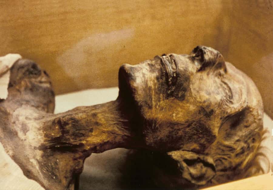Cairo: Egyptian Museum 4-Hour Private Tour with Transfer - Private pacing and crowd-smart route choices