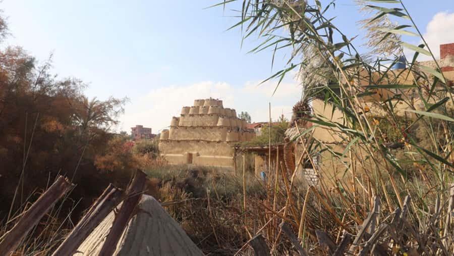Cairo: Fayoum, Wadi El Rayan, and Wadi al Hitan 4x4 Tour - Wadi al Hitan UNESCO: The Whale Fossil Hour You’ll Keep Thinking About