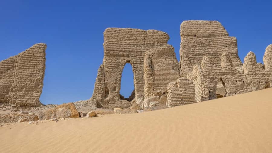 Cairo: Fayoum, Wadi El Rayan, and Wadi al Hitan 4x4 Tour - Sandboarding and Oasis Time: The Fun Stuff That Makes the Day Feel Yours