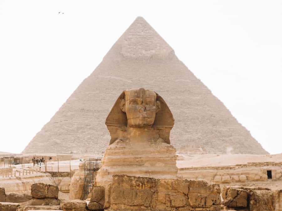 Cairo: Giza Great Pyramids Tour with Sightseeing Options - Key highlights worth planning for