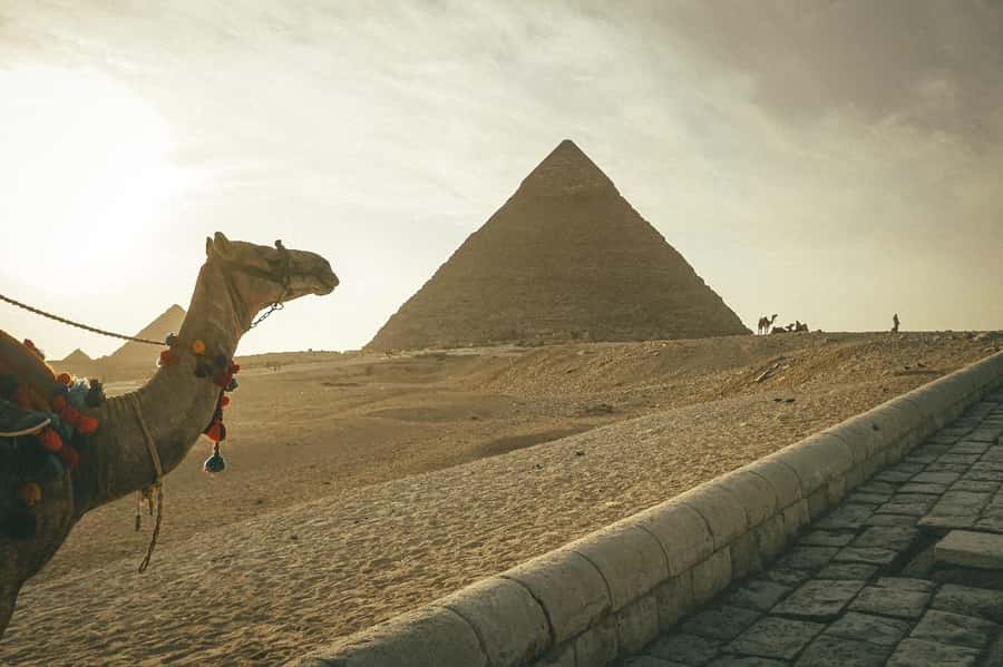 Cairo: Giza Pyramids Camel Ride and Egyptian Museum Tour - Price and value: what $125 covers—and the extra costs to plan for