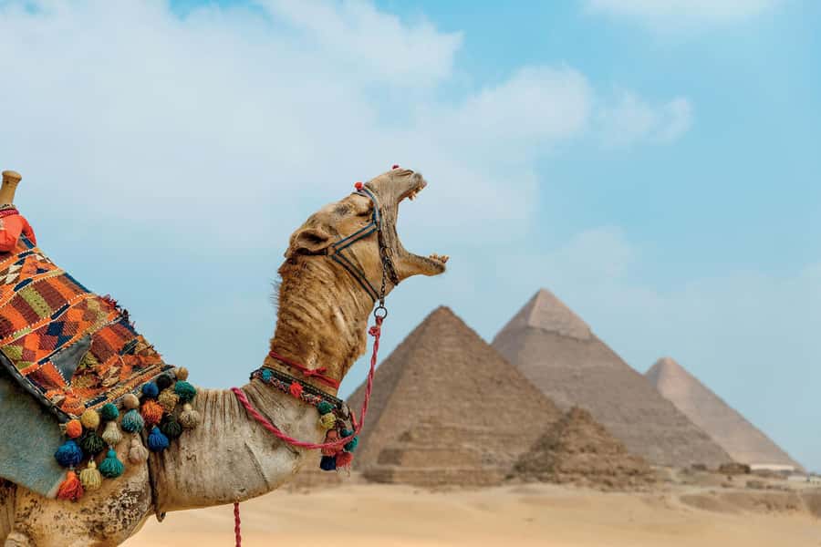 Cairo: Giza Pyramids Camel Ride and Egyptian Museum Tour - Who this tour suits best—and who should adjust expectations